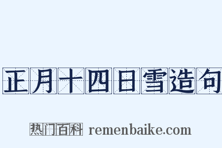 正月十四日雪造句是什么意思的图片